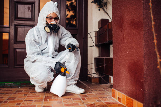 Reliable Wasp Removal contractor in Maury, NC by Show Me Pest Control