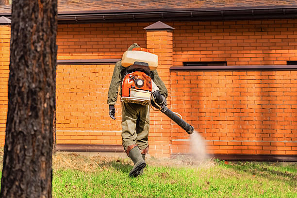 Top rated local Wasp Removal specialists in Maury, NC